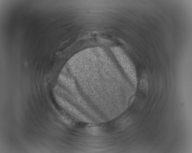 X0000081350620200702082256