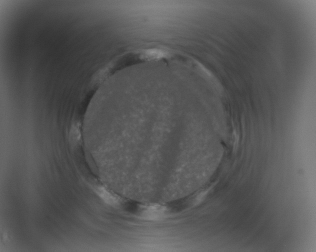 X0000081350621200702082256