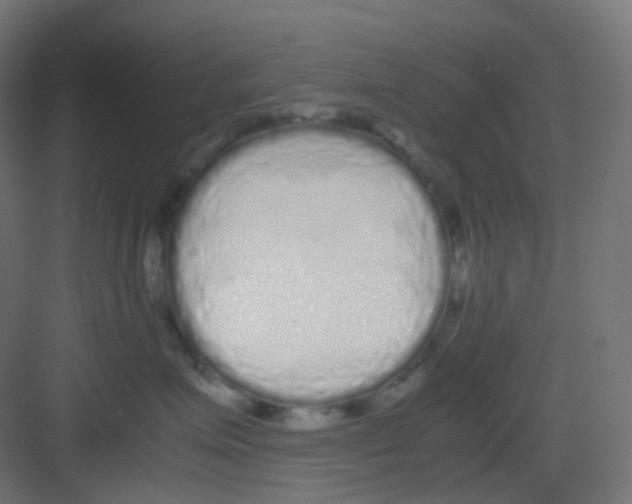 X0000081350623200702082256