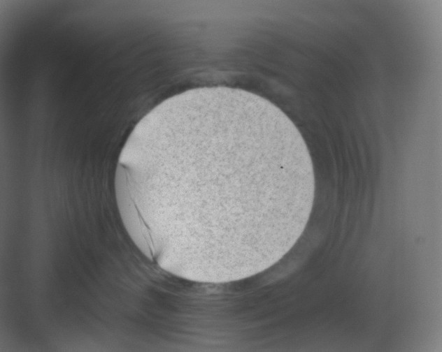 X0000081350624200702082256