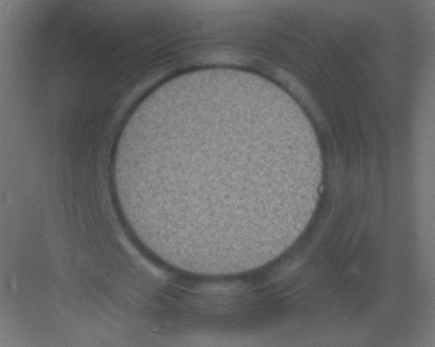 X0000081350625200702082255