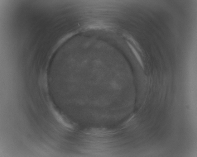 X0000081350626200702082255