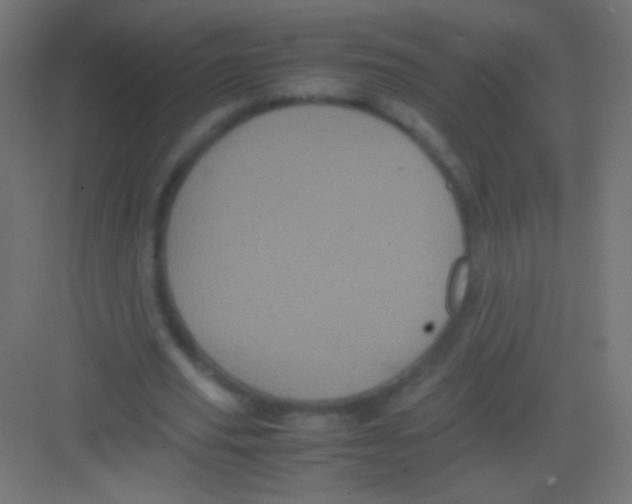 X0000081350629200702082255