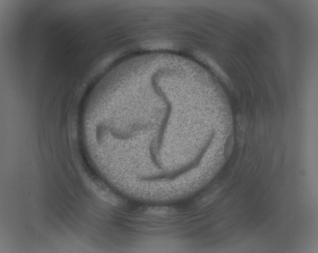 X0000081350631200702082255