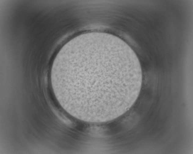 X0000081350632200702082255