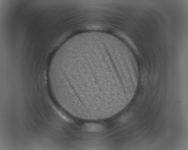 X0000081350633200702082255