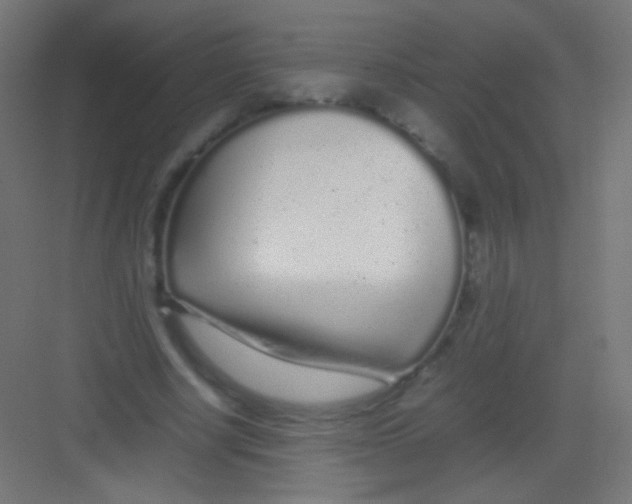 X0000081350634200702082255