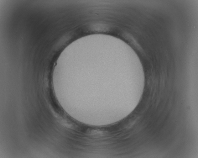 X0000081350635200702082255