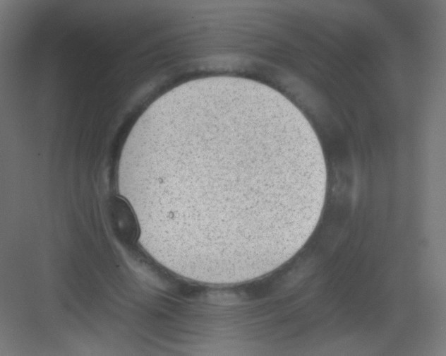 X0000081350636200702082255