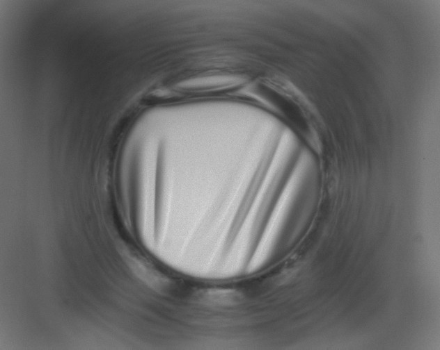 X0000081350637200702082255