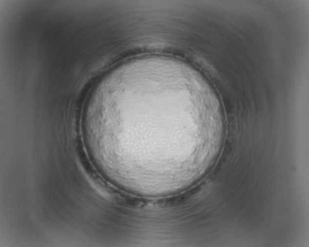 X0000081350638200702082255