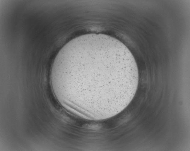 X0000081350639200702082255