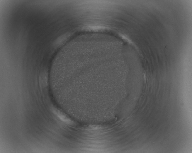 X0000081350640200702082255