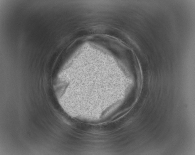 X0000081350641200702082255