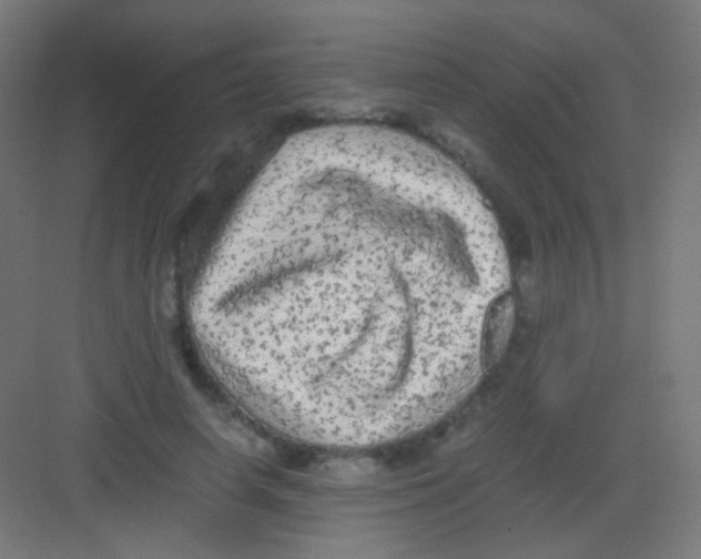 X0000081350642200702082255