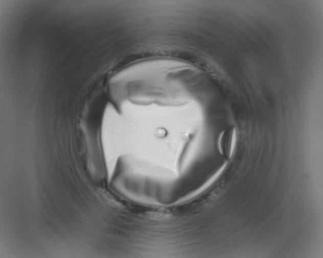 X0000081350644200702082255