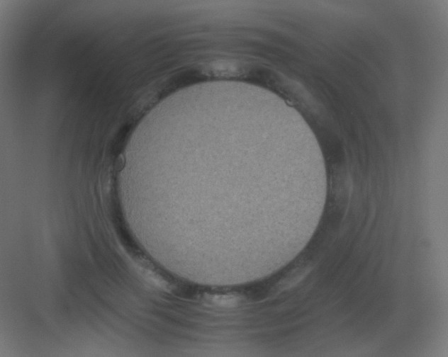 X0000081350645200702082255