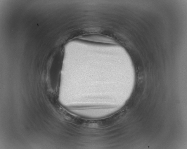 X0000081350647200702082255