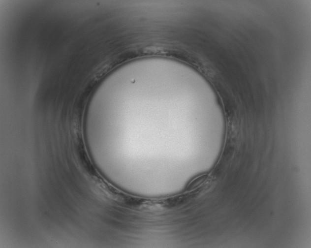 X0000081350648200702082255