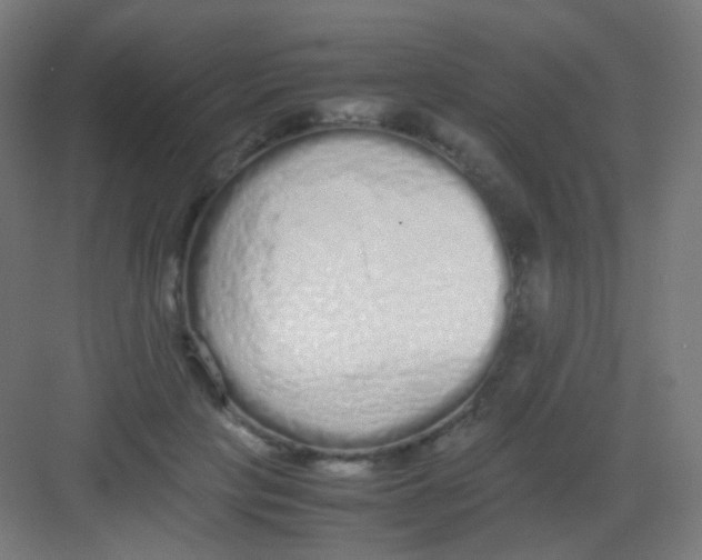 X0000081350649200702082255