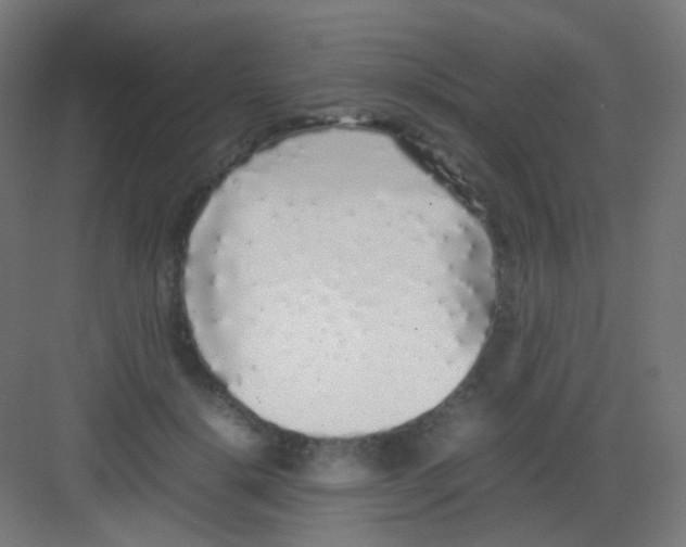 X0000081350652200702082256