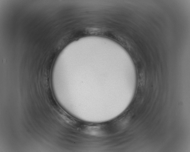 X0000081350653200702082256