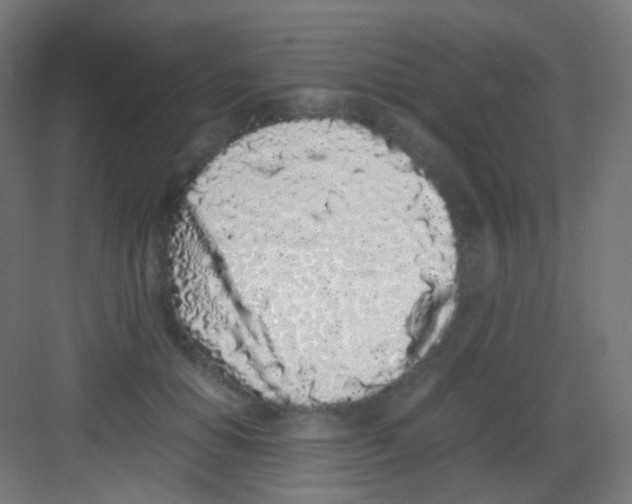 X0000081350654200702082256