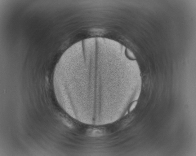 X0000081350655200702082256