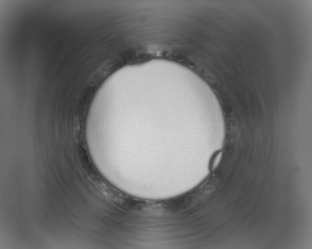 X0000081350656200702082256