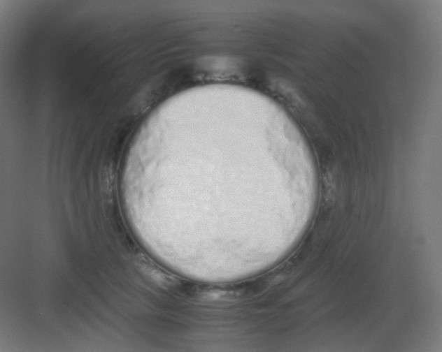 X0000081350657200702082256