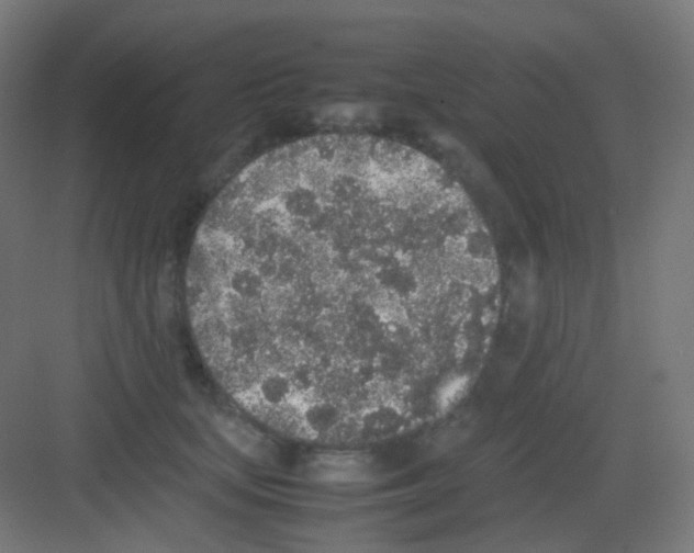 X0000081350659200702082256