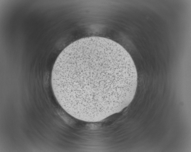 X0000081350660200702082256