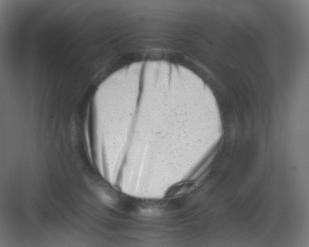 X0000081350661200702082256