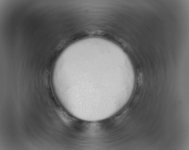 X0000081350664200702082256