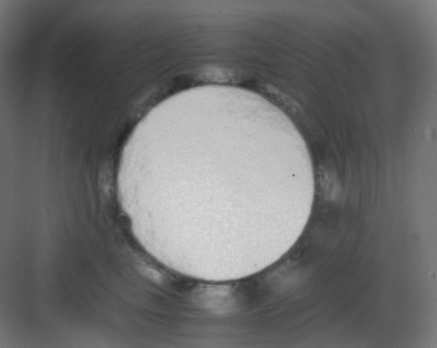 X0000081350665200702082256