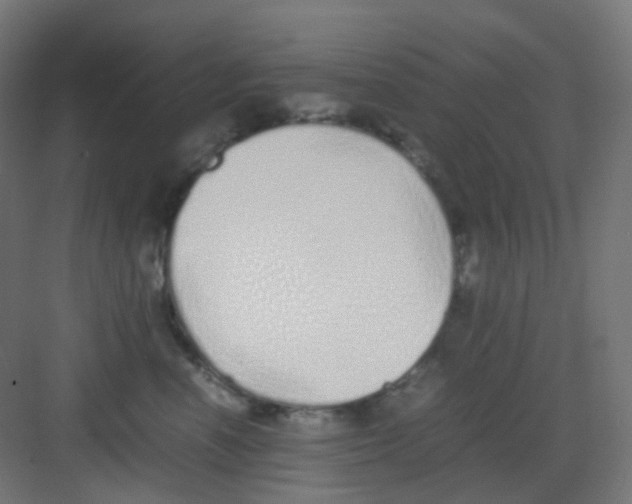 X0000081350666200702082256