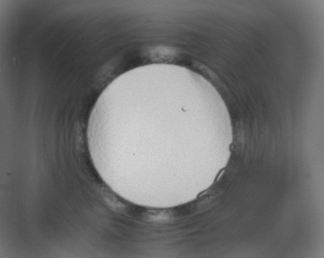 X0000081350667200702082256