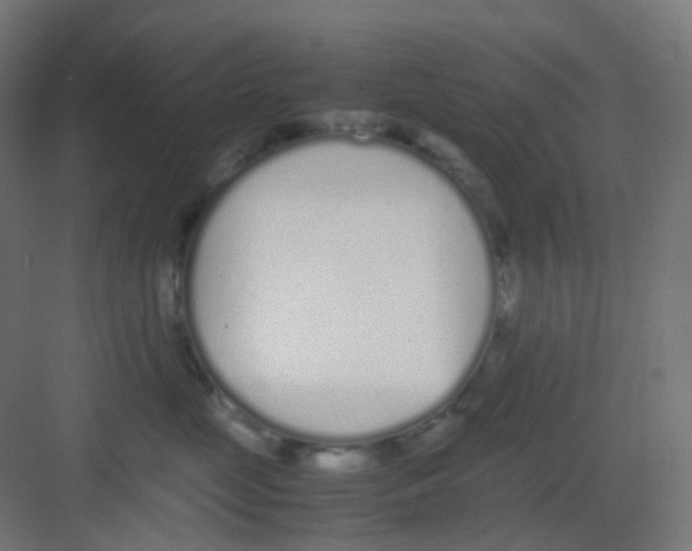 X0000081350669200702082256