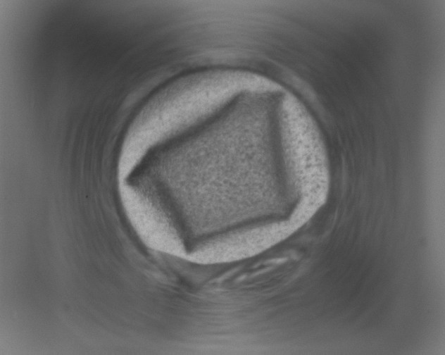 X0000081350673200702082255