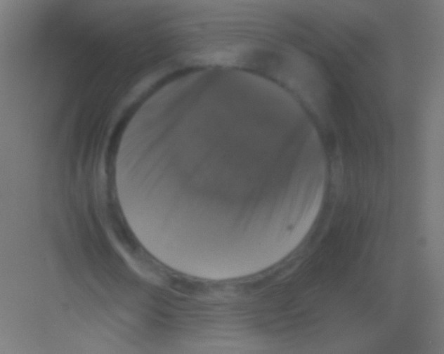 X0000081350674200702082255