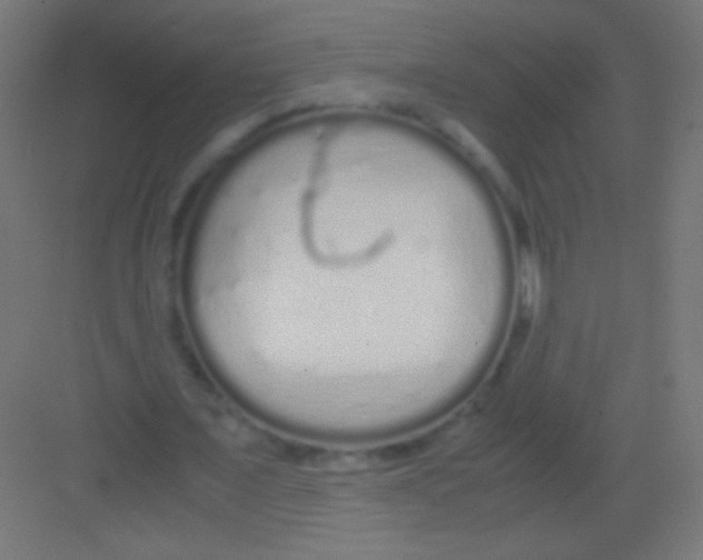 X0000081350675200702082255