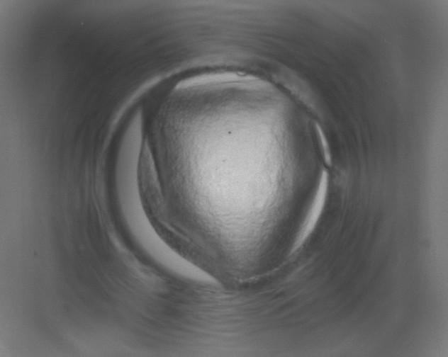 X0000081350676200702082255