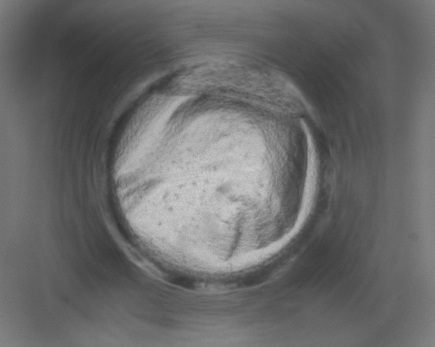 X0000081350677200702082255