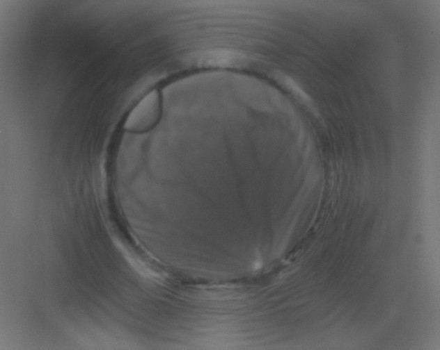 X0000081350678200702082255