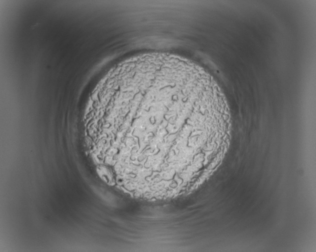 X0000081350679200702082255