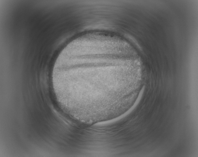 X0000081350680200702082255