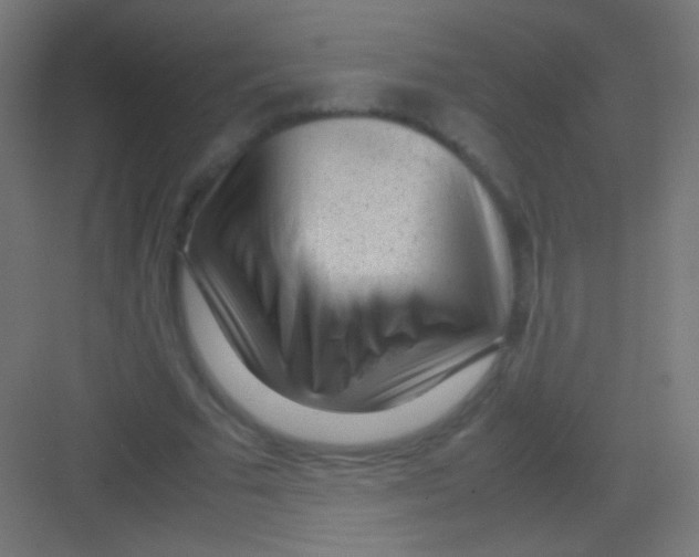 X0000081350681200702082255