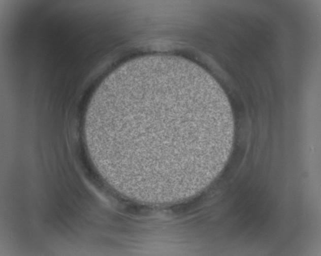 X0000081350683200702082255