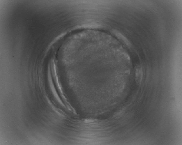 X0000081350684200702082255