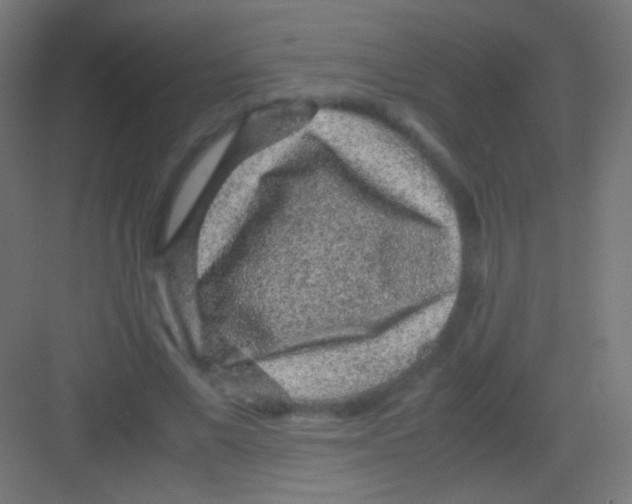 X0000081350685200702082255